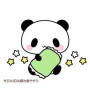 ヒメ日記 2025/09/20 00:04 投稿 梅原めい しこたま奥様　熊本店