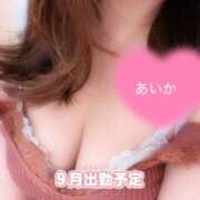 ヒメ日記 2025/08/27 18:31 投稿 あいか 京都ホテヘル倶楽部