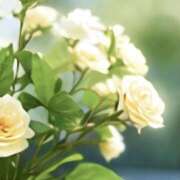 ヒメ日記 2025/10/01 10:03 投稿 米倉ふうか 乳ビーナス(New Venus)