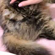 ヒメ日記 2026/04/01 12:20 投稿 米倉ふうか 乳ビーナス(New Venus)