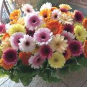 ヒメ日記 2026/04/19 11:13 投稿 けいこ 熟女の風俗最終章 八王子店