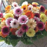 ヒメ日記 2025/08/16 21:23 投稿 けいこ 熟女の風俗最終章 立川店