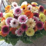 ヒメ日記 2025/12/11 17:14 投稿 けいこ 熟女の風俗最終章 立川店