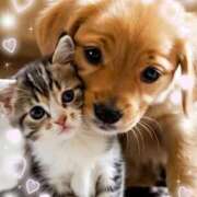 ヒメ日記 2026/02/01 11:53 投稿 けいこ 熟女の風俗最終章 立川店