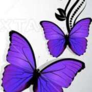 ヒメ日記 2026/04/22 09:13 投稿 けいこ 熟女の風俗最終章 立川店