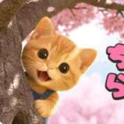 けいこ おはようございます^⁠_⁠^ 熟女の風俗最終章 立川店