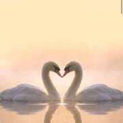 ヒメ日記 2025/08/09 23:05 投稿 たかね 熟女家 ミナミエリア店