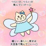 ヒメ日記 2025/09/05 13:35 投稿 たかね 熟女家 ミナミエリア店