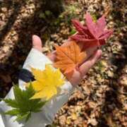 ヒメ日記 2025/11/12 11:25 投稿 たかね 熟女家 ミナミエリア店