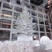 ヒメ日記 2025/11/30 09:05 投稿 たかね 熟女家 ミナミエリア店