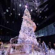 ヒメ日記 2025/12/06 08:45 投稿 たかね 熟女家 ミナミエリア店