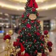 ヒメ日記 2025/12/12 11:45 投稿 たかね 熟女家 ミナミエリア店