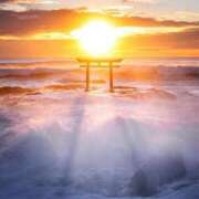 ヒメ日記 2026/01/13 11:05 投稿 たかね 熟女家 ミナミエリア店