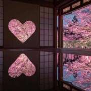 ヒメ日記 2026/03/21 08:15 投稿 たかね 熟女家 ミナミエリア店