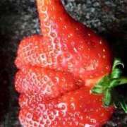 ヒメ日記 2026/04/08 07:05 投稿 たかね 熟女家 ミナミエリア店