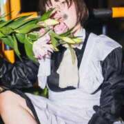 ヒメ日記 2025/11/03 14:08 投稿 うい チューリップ土浦店