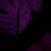 ヒメ日記 2025/07/31 16:45 投稿 るね S-GALAXY