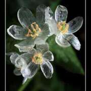 ヒメ日記 2026/01/10 20:08 投稿 ちとせ マダム西船橋