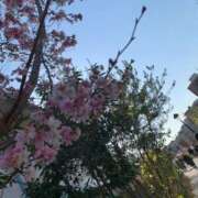 ちとせ 出勤しま〜す。 マダム西船橋