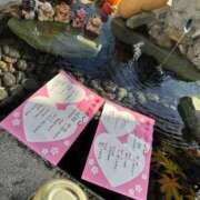 ヒメ日記 2025/10/17 14:52 投稿 しろくま 香川サンキュー