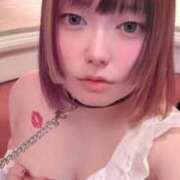 ヒメ日記 2026/02/26 18:52 投稿 しろくま 香川サンキュー