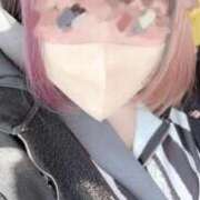 ヒメ日記 2026/03/05 12:42 投稿 しろくま 香川サンキュー