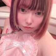 ヒメ日記 2026/03/05 23:02 投稿 しろくま 香川サンキュー