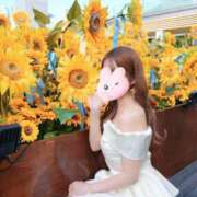 ヒメ日記 2025/08/10 22:27 投稿 るみ Lounge Yoki東京