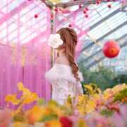 ヒメ日記 2025/11/02 00:53 投稿 るみ Lounge Yoki東京