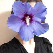 ヒメ日記 2025/10/10 17:49 投稿 はるき 完熟ばなな札幌・すすきの