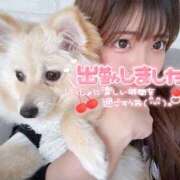 ゆゆ 出勤₍ᐢ.̫.ᐢ₎ シークレットサービス