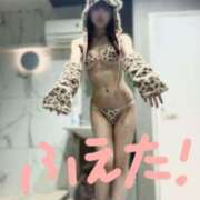 ヒメ日記 2025/07/30 14:04 投稿 あこ The White