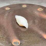 ヒメ日記 2025/08/07 22:14 投稿 あこ The White