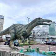 ヒメ日記 2025/09/19 13:35 投稿 あこ The White