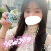 ヒメ日記 2025/07/29 20:24 投稿 にこ 新宿平成女学園