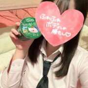 にこ 朝からいます☀️ 新宿平成女学園