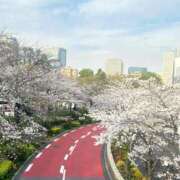 ヒメ日記 2026/04/07 20:01 投稿 にこ 新宿平成女学園