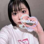 ヒメ日記 2025/11/09 19:36 投稿 ともか 美女のカタチ