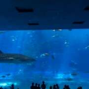 ヒメ日記 2025/11/18 18:00 投稿 うた【まわりを照らす存在♡】 LIPS(リップス)