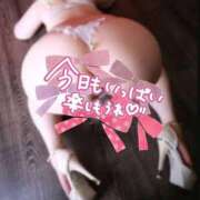 ヒメ日記 2025/12/29 09:03 投稿 さねみ 熟女の風俗最終章 新潟店