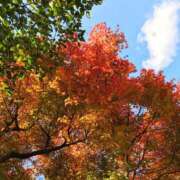 ヒメ日記 2025/08/28 09:48 投稿 観月ひまり お姉さんCLUB