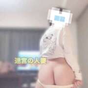 ヒメ日記 2025/08/19 15:59 投稿 しずく 迷宮の人妻　熊谷・行田発