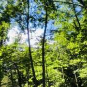 ヒメ日記 2025/08/02 12:15 投稿 しずく 迷宮の人妻 古河・久喜発