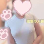 ヒメ日記 2025/10/24 14:39 投稿 しずく 迷宮の人妻 古河・久喜発