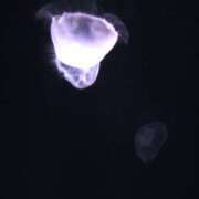 ヒメ日記 2025/08/23 11:25 投稿 さゆり マドンナ浜松町