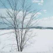 ヒメ日記 2026/02/10 19:26 投稿 さゆり マドンナ浜松町