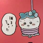 ヒメ日記 2026/05/04 15:02 投稿 みる Evolution 2nd