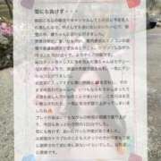 ヒメ日記 2026/02/23 13:32 投稿 夏乃　優 アムアージュ