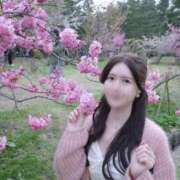 ヒメ日記 2026/04/24 00:12 投稿 夏乃　優 アムアージュ