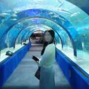 ヒメ日記 2026/04/24 13:49 投稿 夏乃　優 アムアージュ